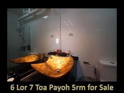Blk 6 Lorong 7 Toa Payoh (Toa Payoh), HDB 5 Rooms #150355882